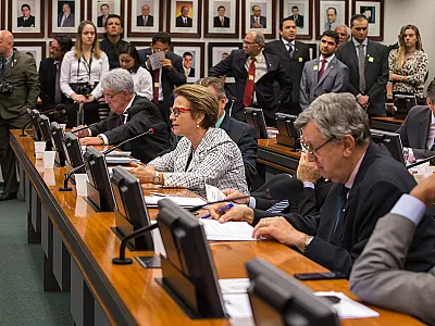 Tereza Cristina indicada para sub-relatoria da CPI da Funai e Incra