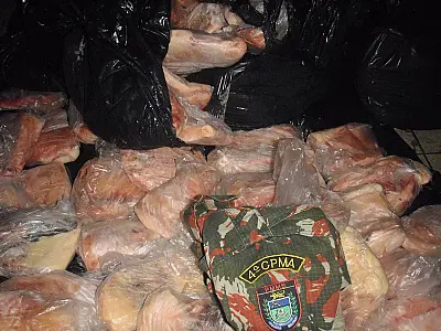 PMA prende e multa pescador com 140 kg de filé de pescado