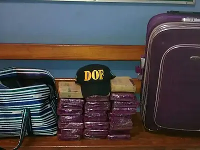 DOF apreende 18,300kg de maconha em ônibus