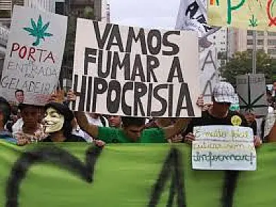 Debate sobre regulação da maconha inicia amanhã no Senado