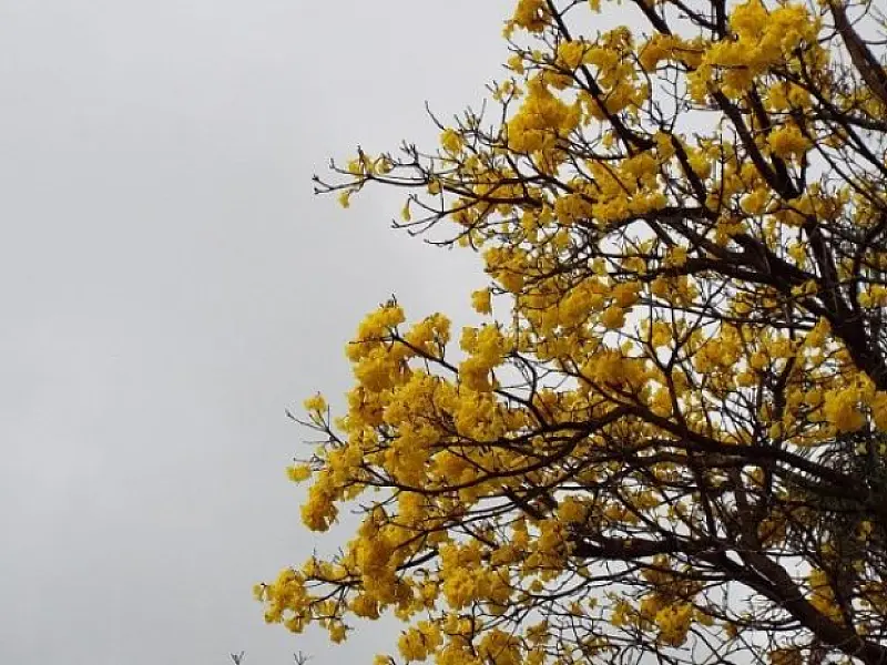 Frente fria traz esperança de chuva e refresco nas temperaturas a partir do meio da semana
