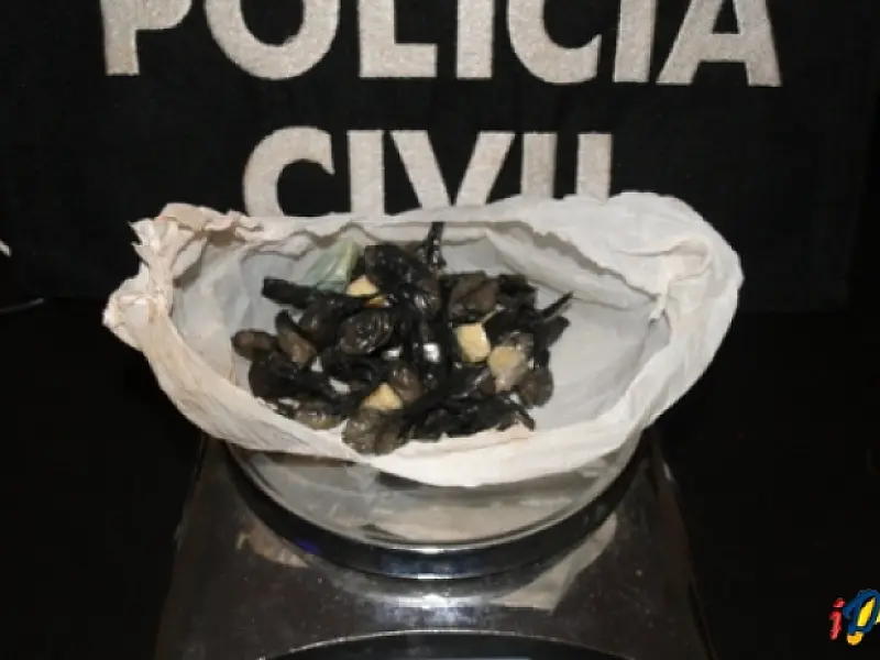 Adolescente se entrega à polícia e mostra onde escondia a droga