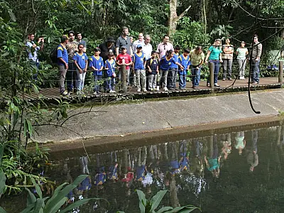 Alternativa de passeio, Parque Estadual do Prosa conserva espécies do Cerrado