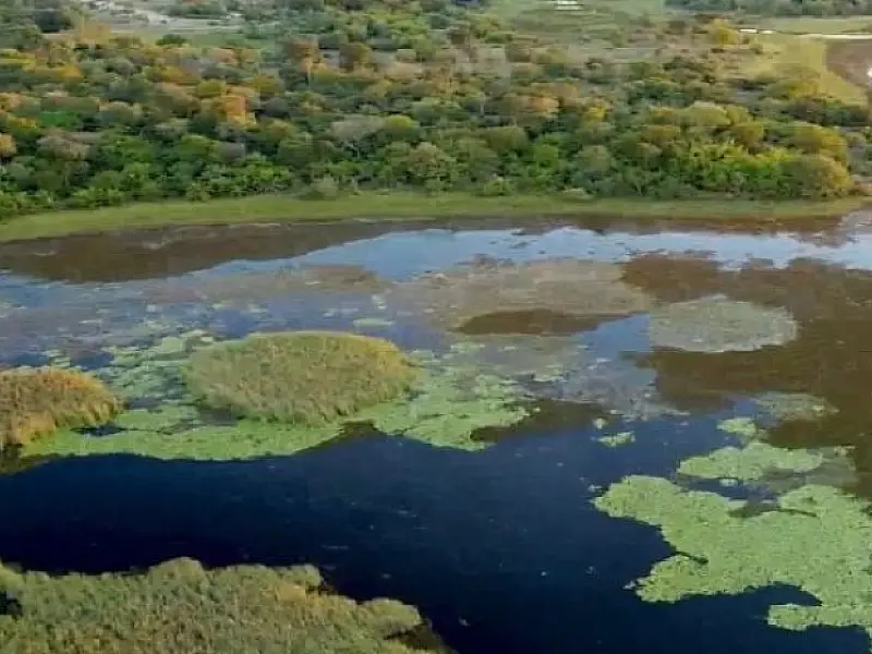 Parque do Pantanal do Rio Negro desponta como modelo nacional na geração de créditos ambientais
