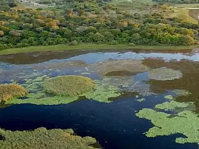 Parque do Pantanal do Rio Negro desponta como modelo nacional na geração de créditos ambientais
