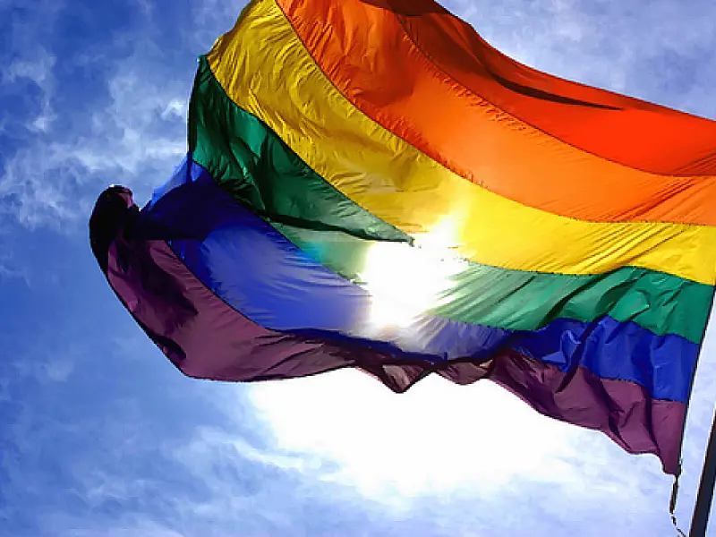 No Dia Mundial contra a Homofobia;LGBT vai à Câmara