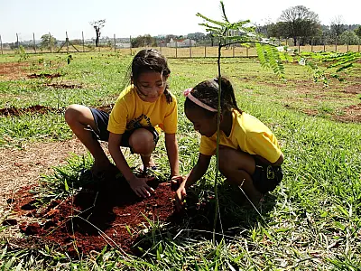 Crianças da LBV participam de plantio em comemoração ao Dia da Árvore