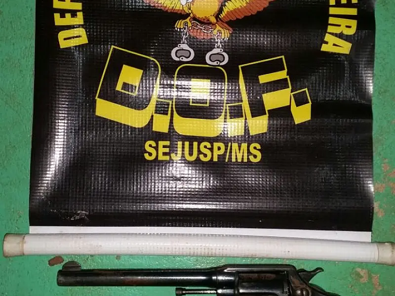 Policiais apreendem arma de fogo e cumpre mandado de prisão