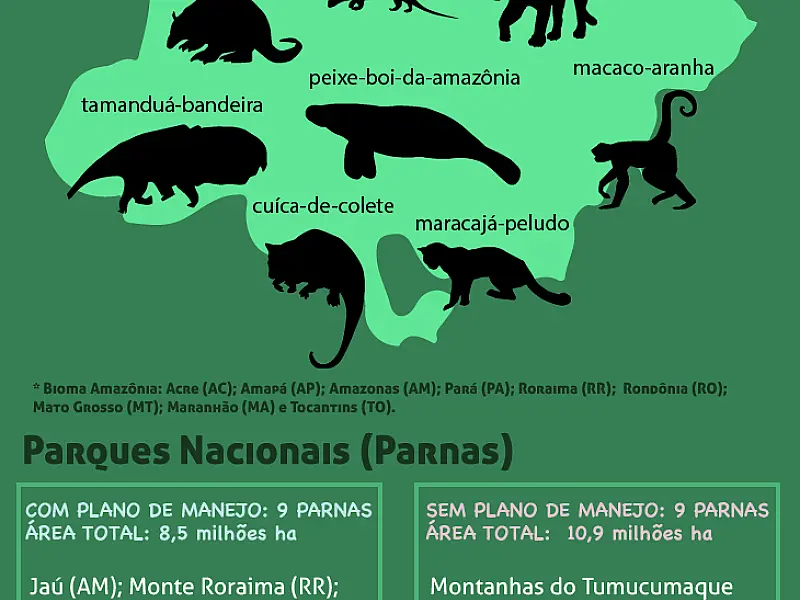 Maior reserva tropical úmida na Amazônia continua irregular