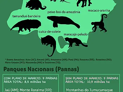 Maior reserva tropical úmida na Amazônia continua irregular