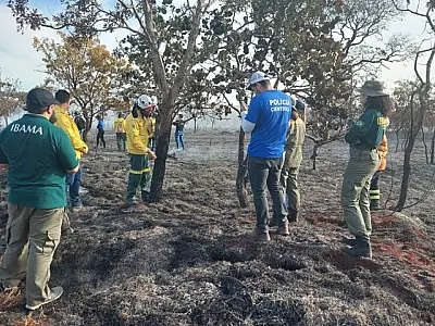 Peritos, bombeiros e PMA de MS passam por curso para identificar incêndios florestais criminosos