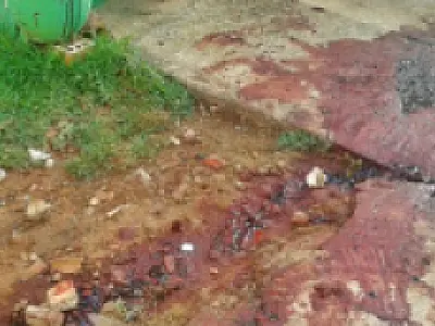 Homem morre com tiro no rosto após tentar invadir residência