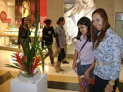 Exposição de flores e oficinas de arranjo marca a chegada da primavera em shopping