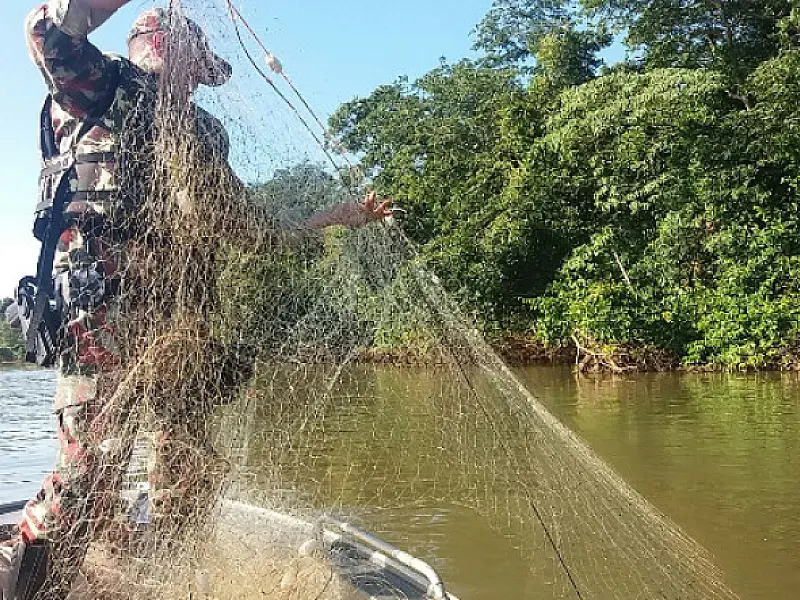 Polícia Militar Ambiental divulga resultado da operação Dia do Trabalhador
