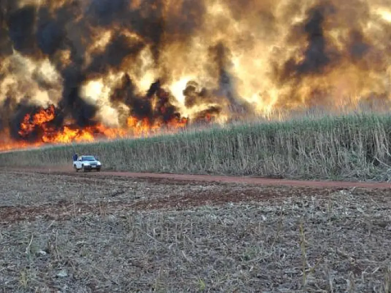 Dois incêndios destroem 100 hectares em Chapadão do Sul