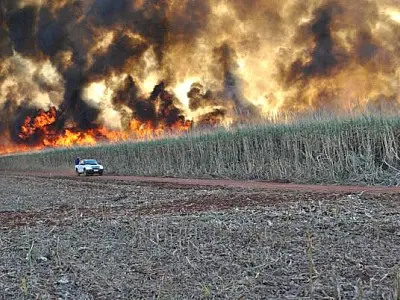 Dois incêndios destroem 100 hectares em Chapadão do Sul