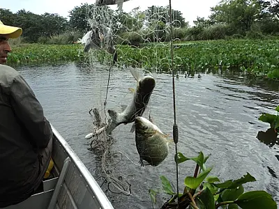 PMA prende dois pescadores pescando com redes no rio Baía