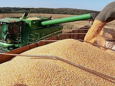 Colheita da soja entra na reta final e plantio do milho passa dos 90% em Mato Grosso do Sul

