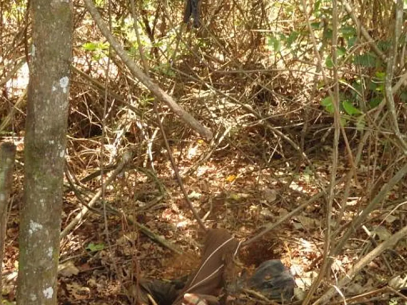 Corpo decapitado continua sem identificação