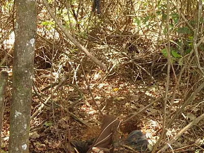 Corpo decapitado continua sem identificação