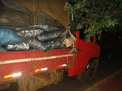 PMA apreende caminhão com carga de carvão ilegal