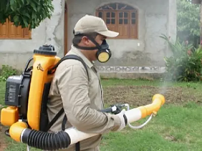 Casos de dengue no Estado passam de 13 mil