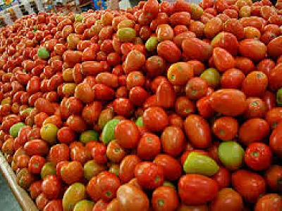 Tomate sobe 29% e volta a ser 'vilão' da cesta básica em Campo Grande