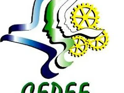 Estão abertas as inscrições para cursos gratuitos do Cepef