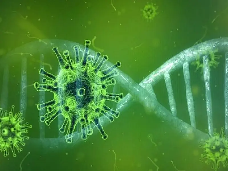 Nova variante do coronavírus é mais contagiosa na população jovem
