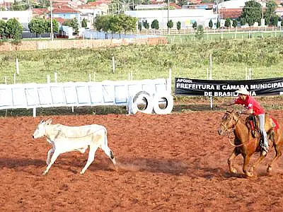 Confira a programação do Circuito de Laço Comprido hoje