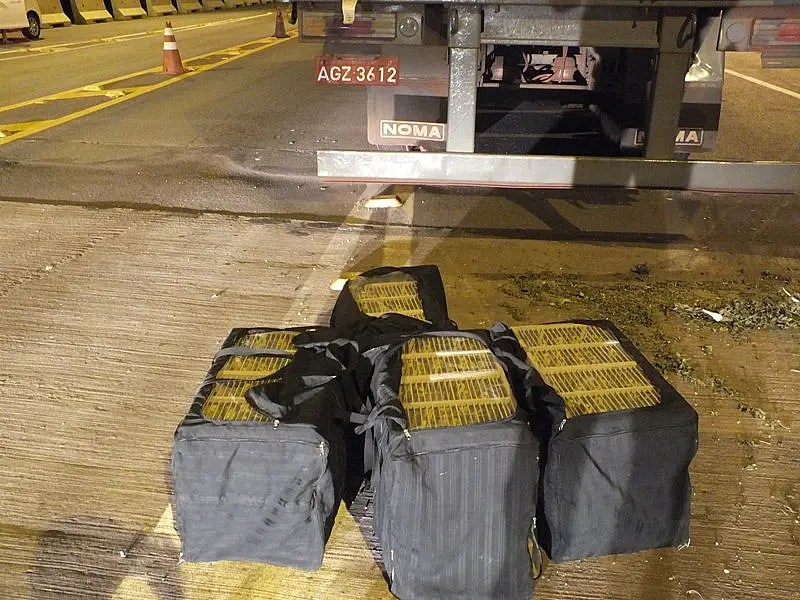Traficante de canários é preso e multado em R$ 300 mil