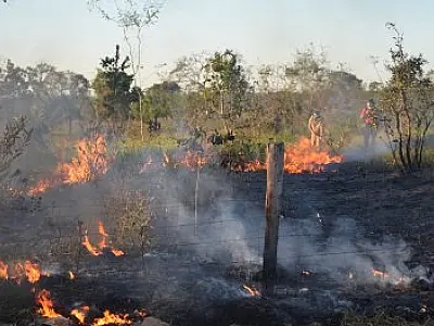 Bombeiros combatem incêndio às margens da BR-163