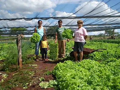 Showtec terá Mostra da Agricultura Familiar