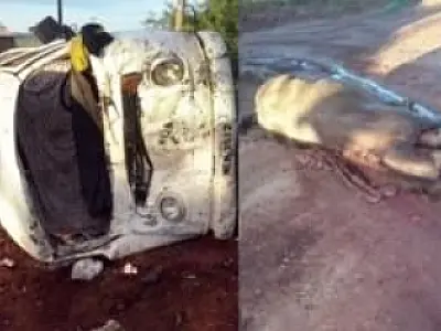Colisão entre carro e cavalo deixa dez pessoas feridas em Ivinhema