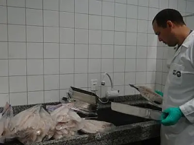 Agência divulga resultado da Operação Especial Pescados Congelados