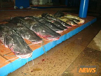 PMA apreende 79 kg de pescado e petrechos proibidos
