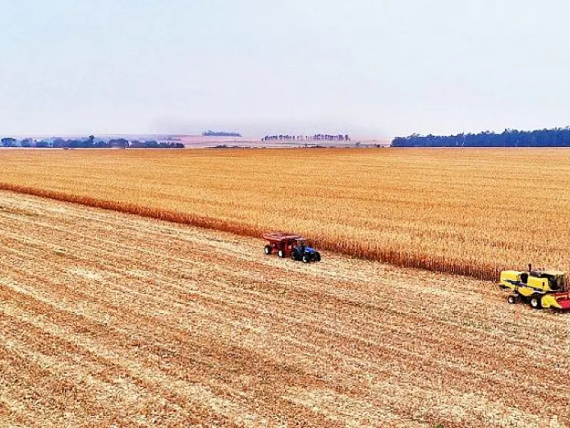 Mato Grosso do Sul foi o terceiro estado do Brasil que mais gerou vagas no agronegócio
