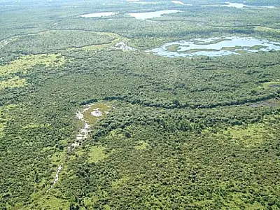 Imasul alerta para o transbordamento do rio Miranda nas próximas 24h
