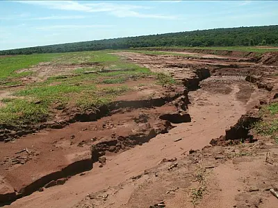 PMA autua usina sulcroenergética de Nova Andradina