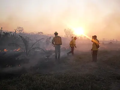 Fogo está sem controle em reserva indígena de Porto Murtinho há três dias