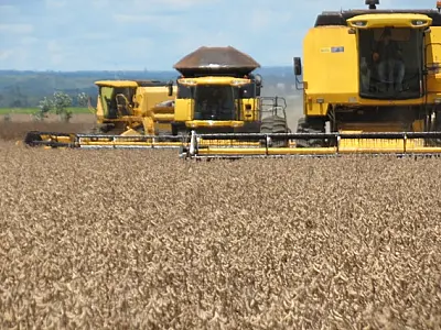 Colheita da soja atinge 2% em Mato Grosso do Sul
