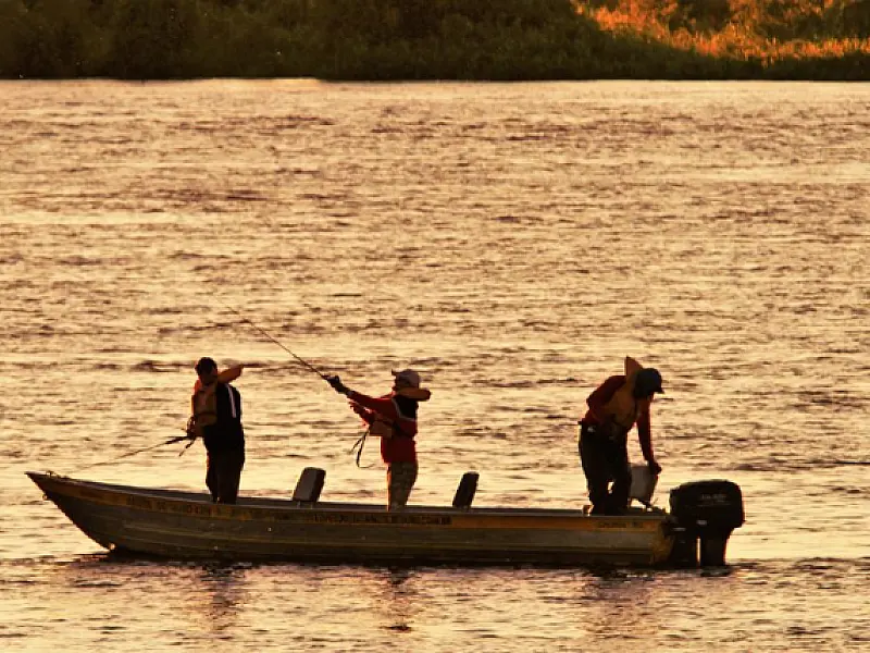 Modalidade 'pesque e solte' está liberada na calha do rio Paraguai a partir de sábado