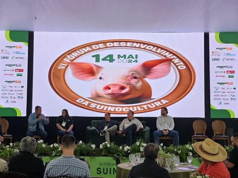 Case de sucesso na suinocultura, programa Leitão Vida repassou R$ 59 milhões aos produtores de MS
