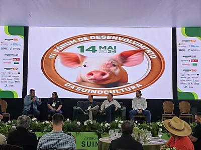 Case de sucesso na suinocultura, programa Leitão Vida repassou R$ 59 milhões aos produtores de MS
