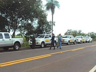 Ibama e ITTI vistoriam BR-262 para diminuir atropelamento de animais