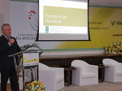 Desafio da avicultura é exportar carne de frango processada
