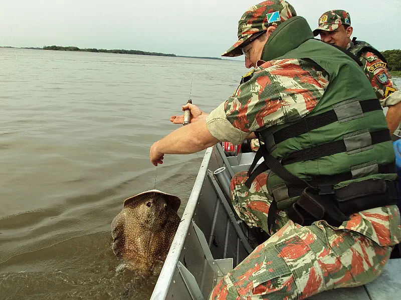 PMA retira 1 km de redes e espinhéis e salva diversos peixes no rio Paraná