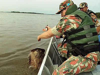 PMA retira 1 km de redes e espinhéis e salva diversos peixes no rio Paraná