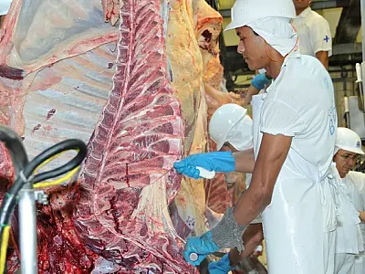 Indústria apresenta queda de 12,9% nas exportações e setor perde R$ 36 milhões em janeiro
