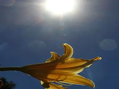 Domingo de tempo firme e temperaturas elevadas
